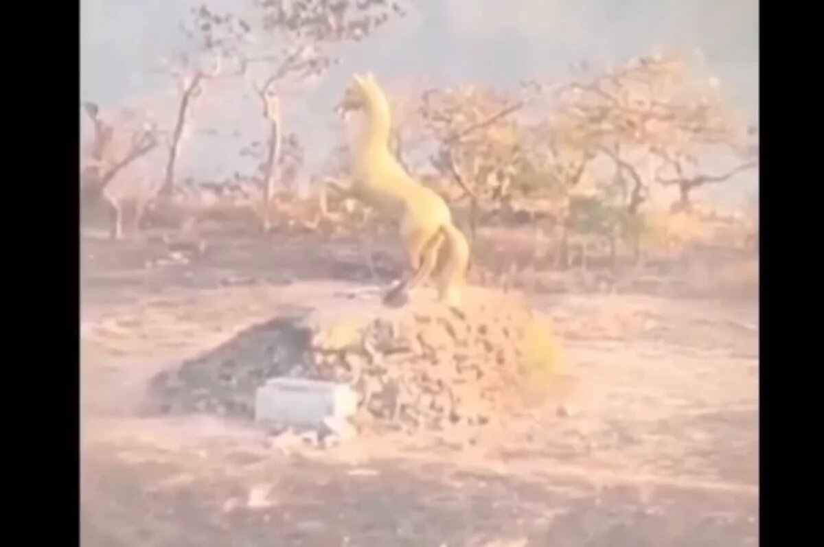    Армия Таиланда уничтожила памятник Золотому коню в Камбодже