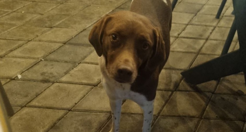    Фото Анастасии Дмитриевой