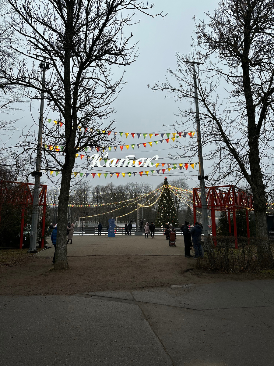 Каток в парке