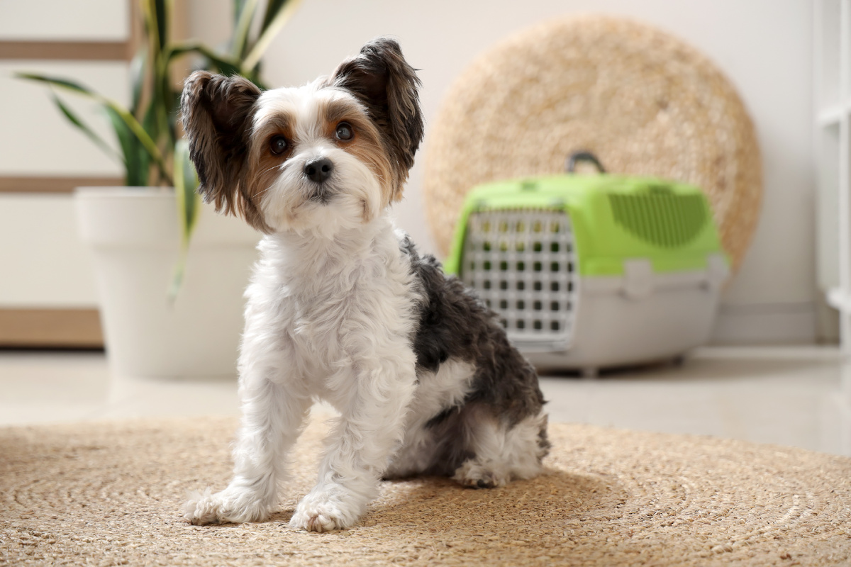 Фото: Shutterstock