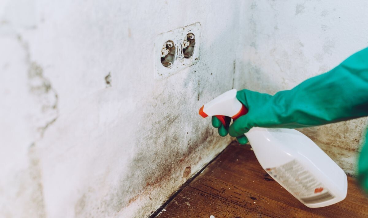 плесень в ванной