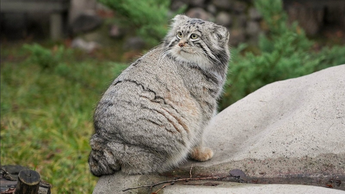    Источник: Пресс-служба Департамента культуры города Москвы
