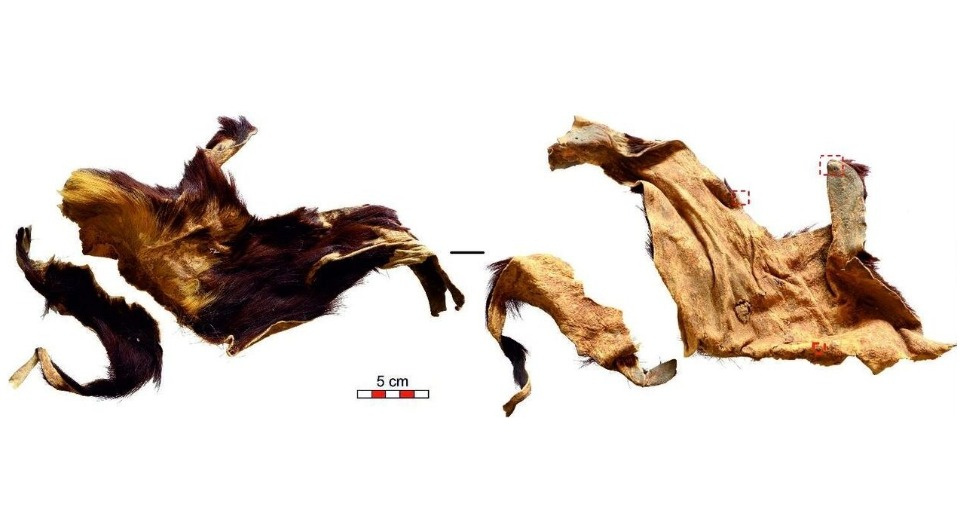    Куски выделанной кожи из пещеры де-лос-Мурсьелагос Jolijn Erven et al. / bioRxiv, 2025