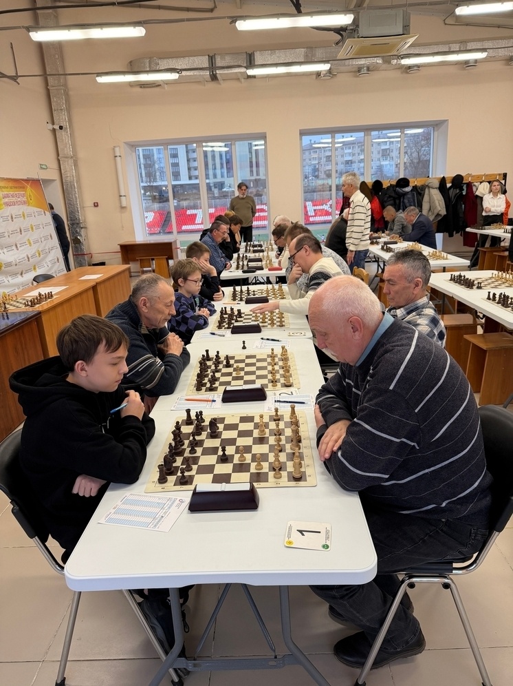     Фото: Шахматы в Чувашии