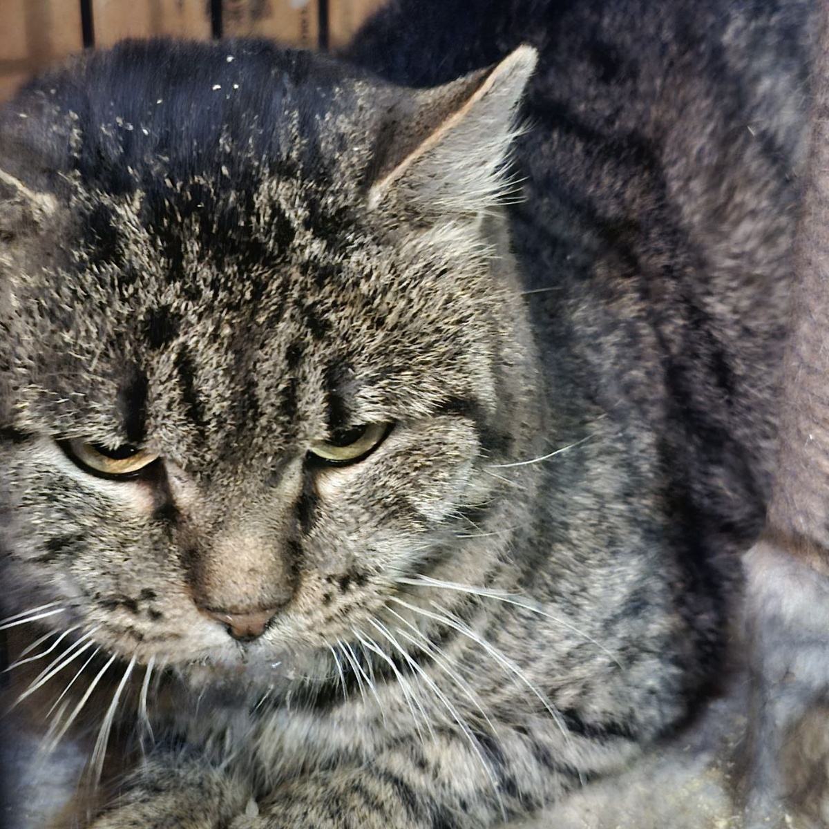 Зачем приехали?