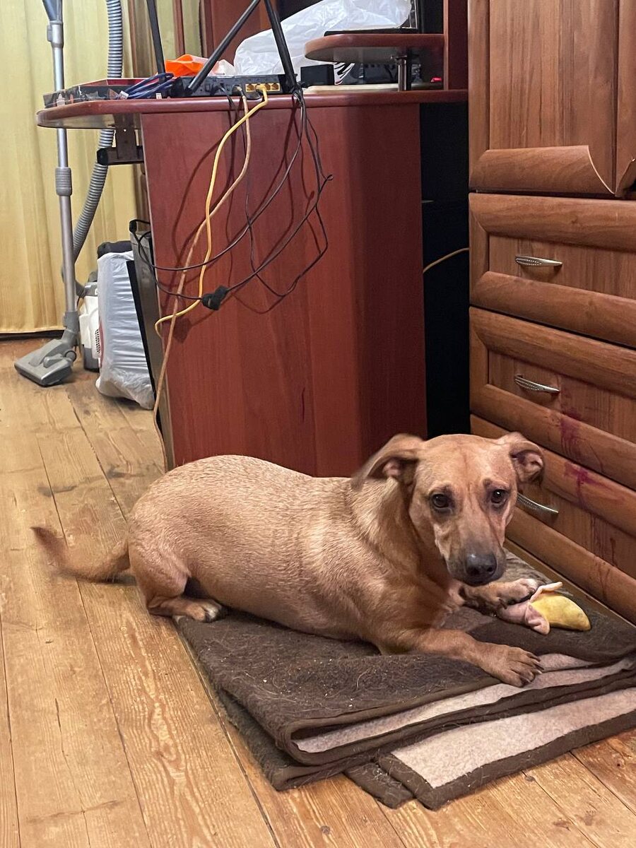 Масе тоже привезли небольшой подарочек, он обрадовался!