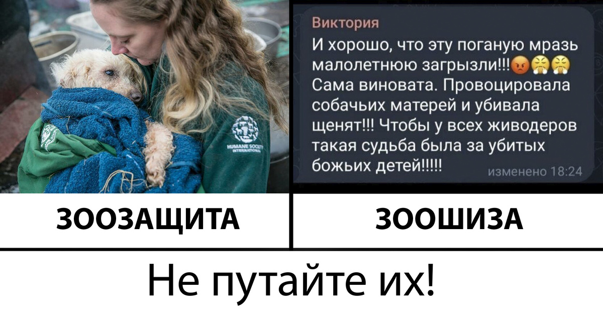 Картинки с просторов Интернета.