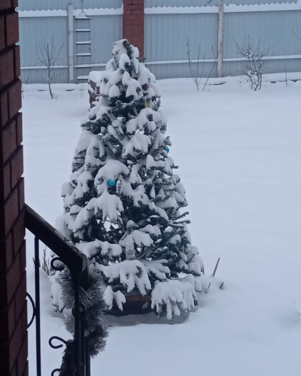 Поставила ёлочку во дворе, а украсить не успела, накрыло снегом