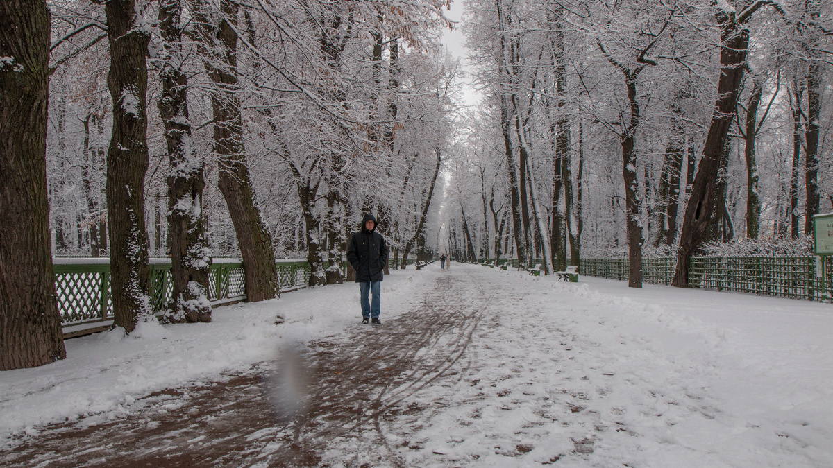 Летний сад.