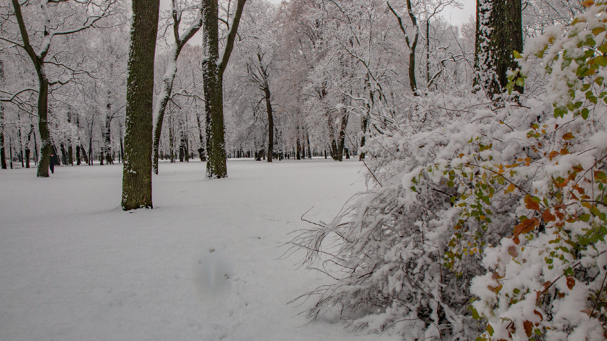 Михайловский сад