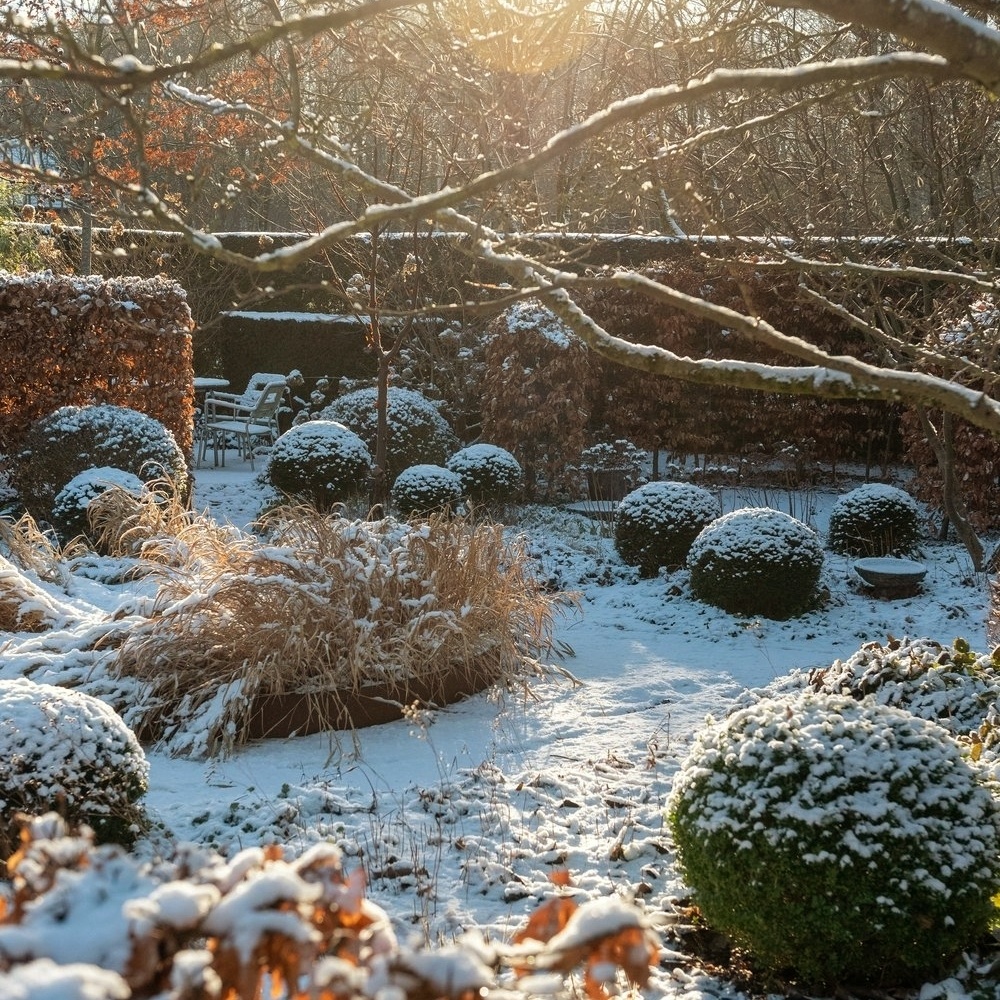 Сад Марии Дремо Сундстрем 