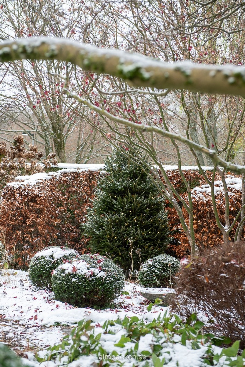 Сад Марии Дремо Сундстрем 