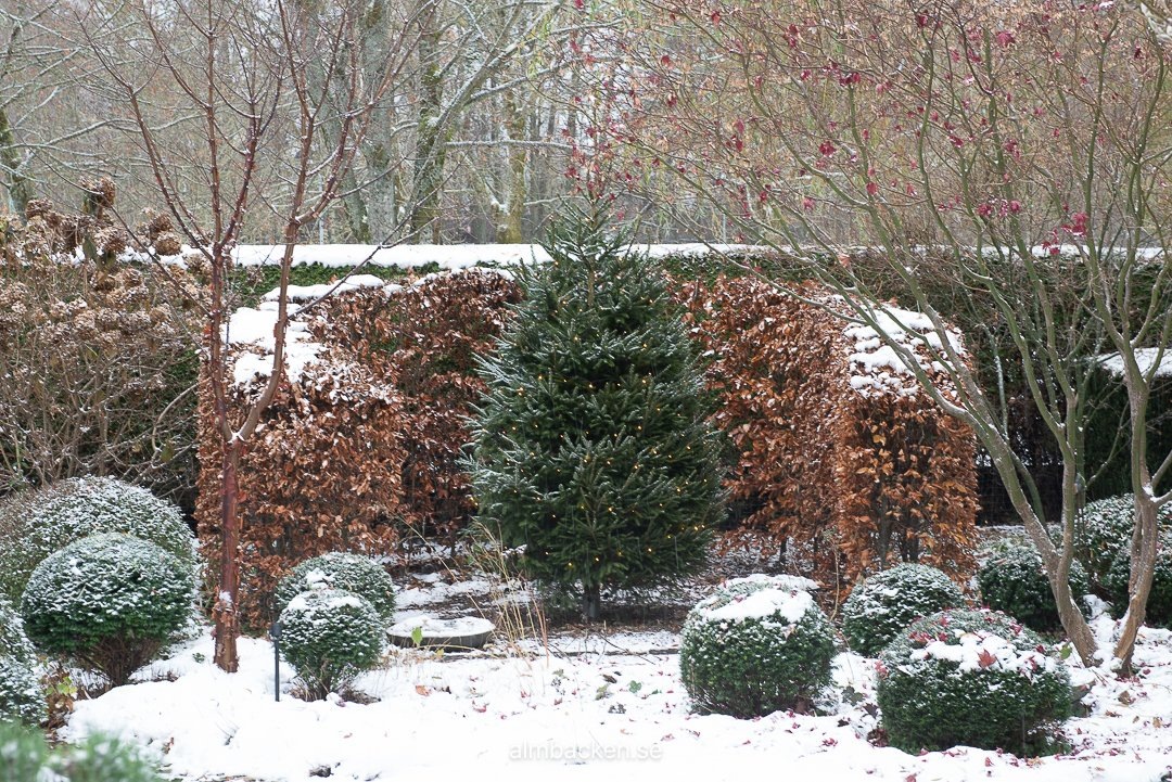  ДО - Исходная фотография сада Марии Дремо Сундстрем - смотите дальше, что получилось!