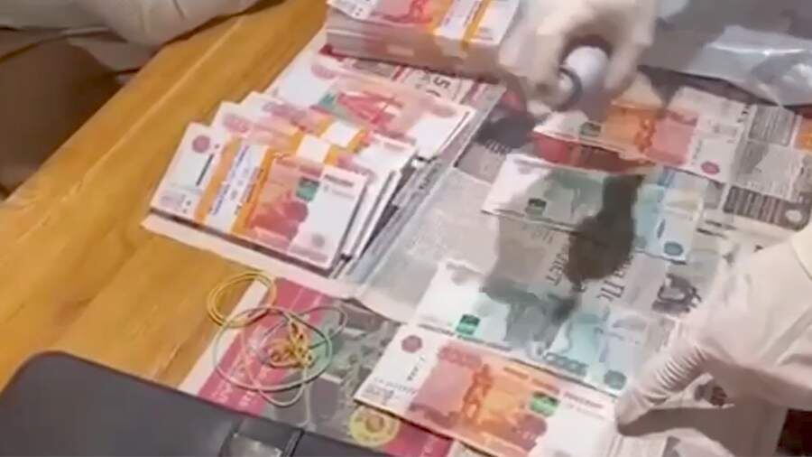 Фото: СК РФ по Санкт-Петербургу