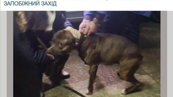    © telegram ukr_2025_ru