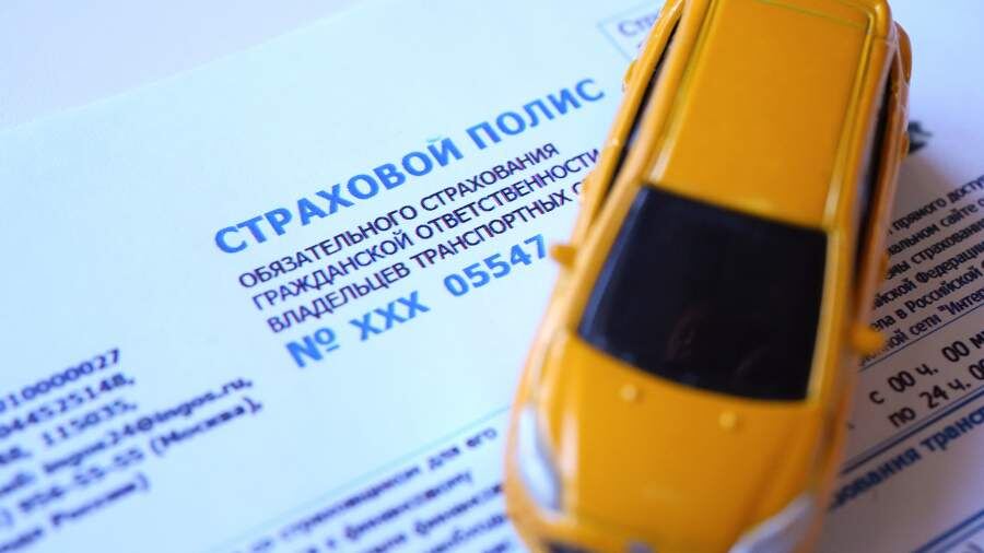    Фото: ИЗВЕСТИЯ/Дмитрий Коротаев