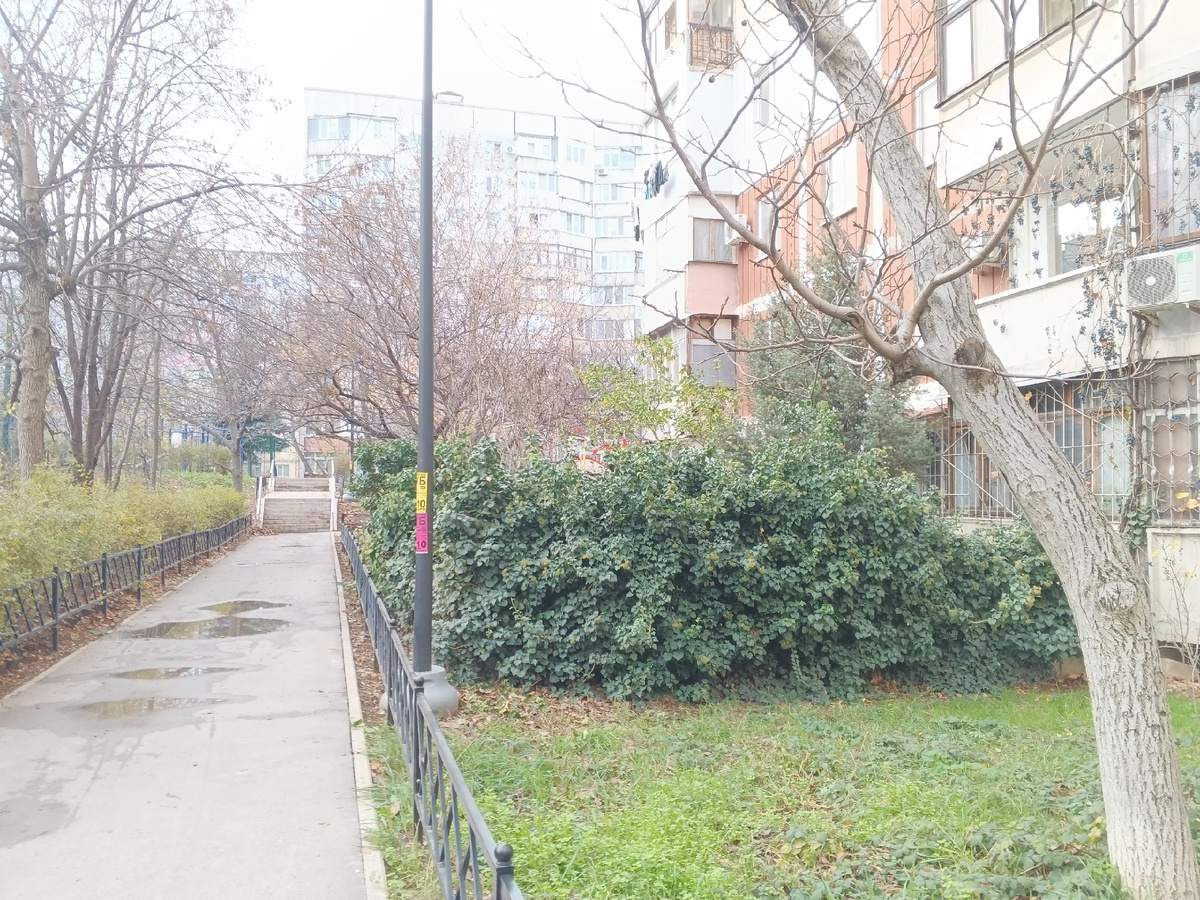 Туман, туман... Фото Галины Малышевой