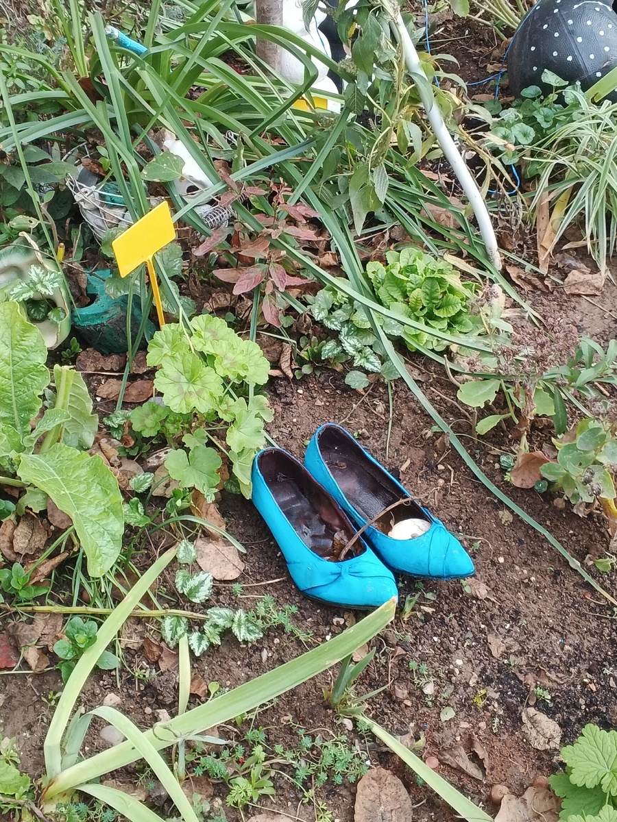 В уходящем году в тренде голубой. Фото Галины Малышевой.