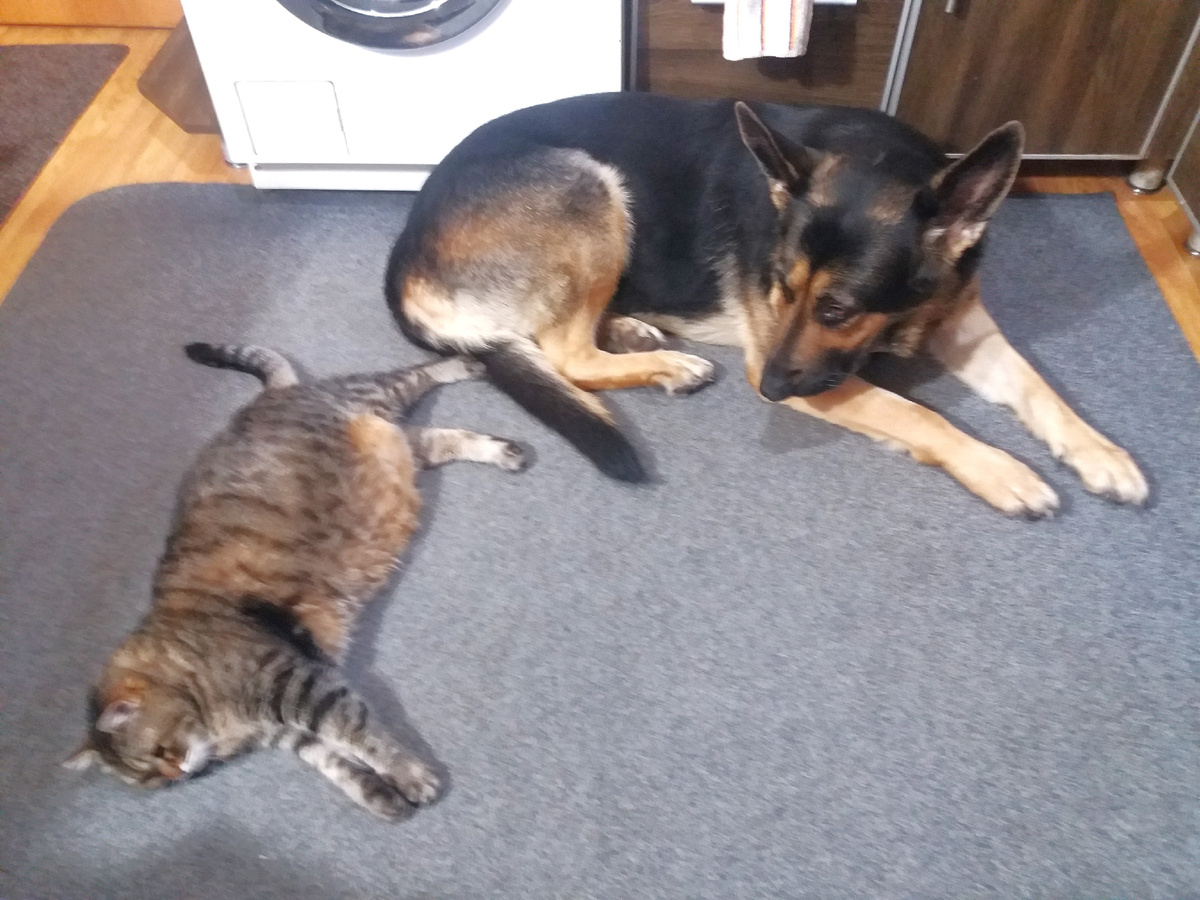 Фото автора