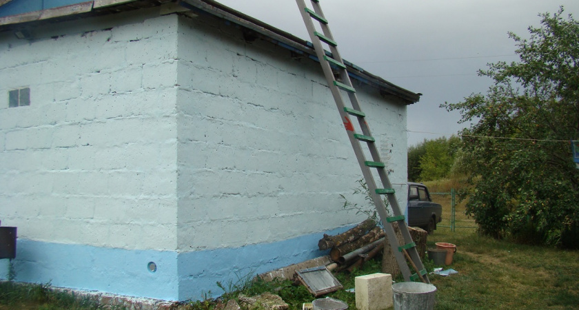    Фото Анастасии Дмитриевой