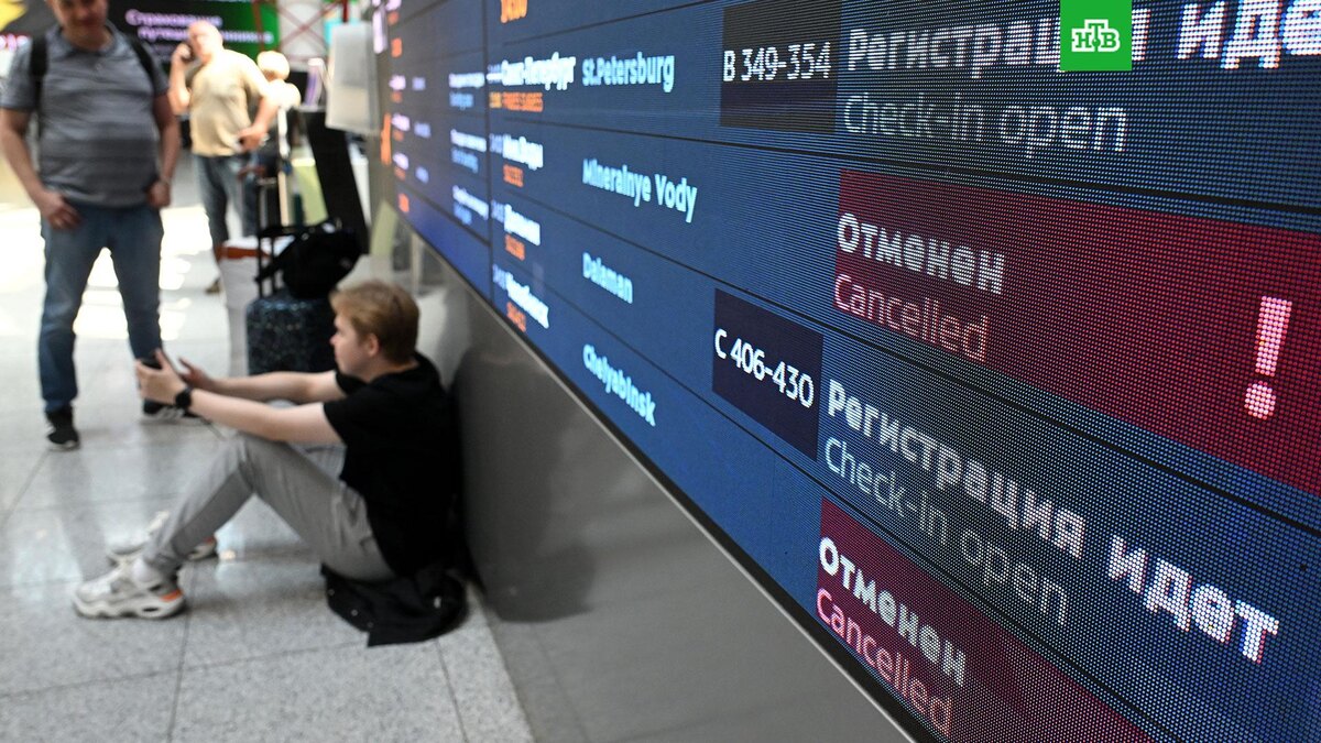    Фото: РИА Новости © 2025, Кирилл Каллиников