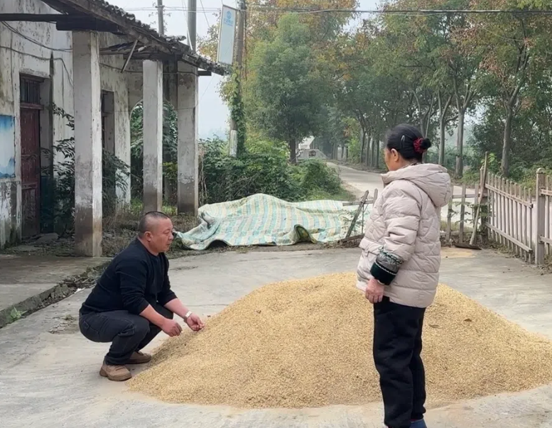 Мужчина сушит рис перед своим домо. Да, вот так выглядит его заборчик и старенький домик в сельской местности