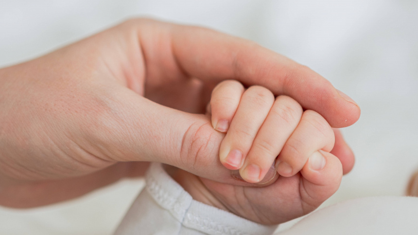    Фото: www.globallookpress.com/IMAGO/Zoonar.com/Iuliia Zavalish