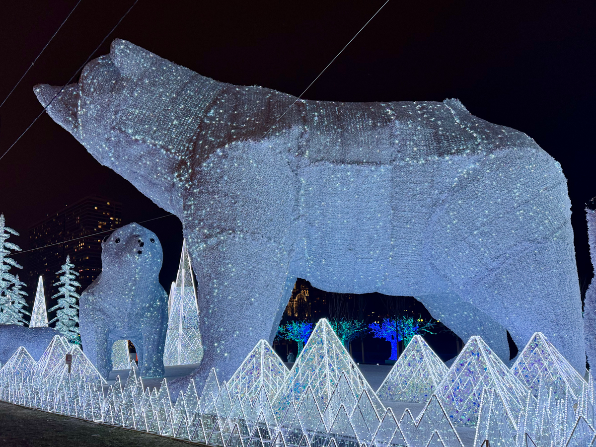 Полярные белые мишки в парке Акведук в Ростокино