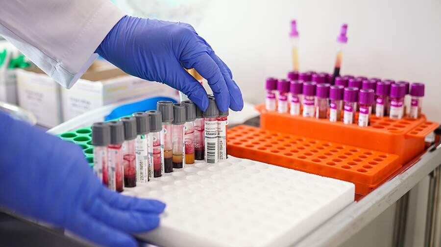    Фото: ИЗВЕСТИЯ/Сергей Лантюхов