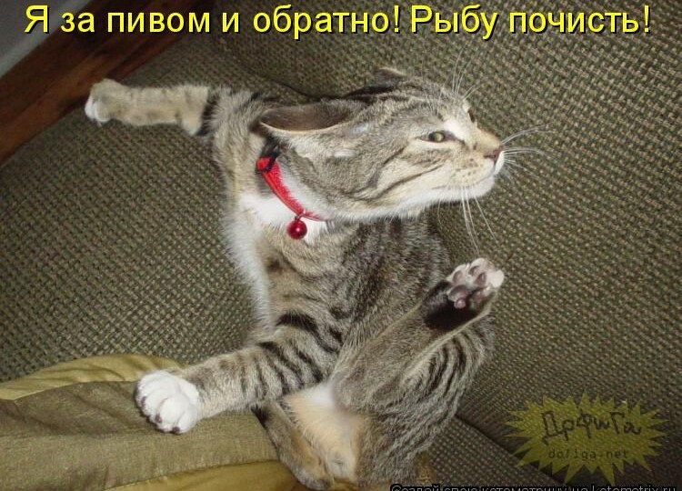 15 смешных картинок с надписями для поднятия настроения. Почему я стала понимать бабушку