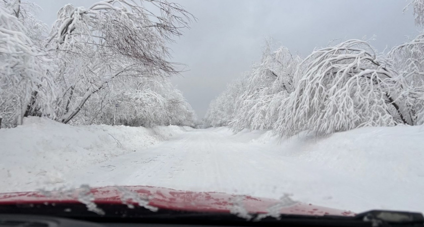    Фото из архива редакции