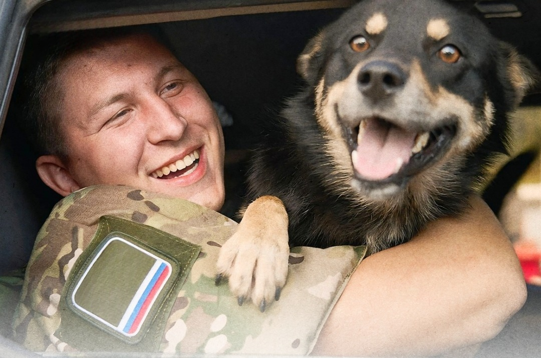 Фото из открытого источника Яндекс 