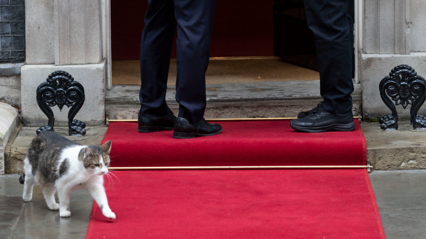    Фото: www.globallookpress.com/Stephen Lock / i-Images