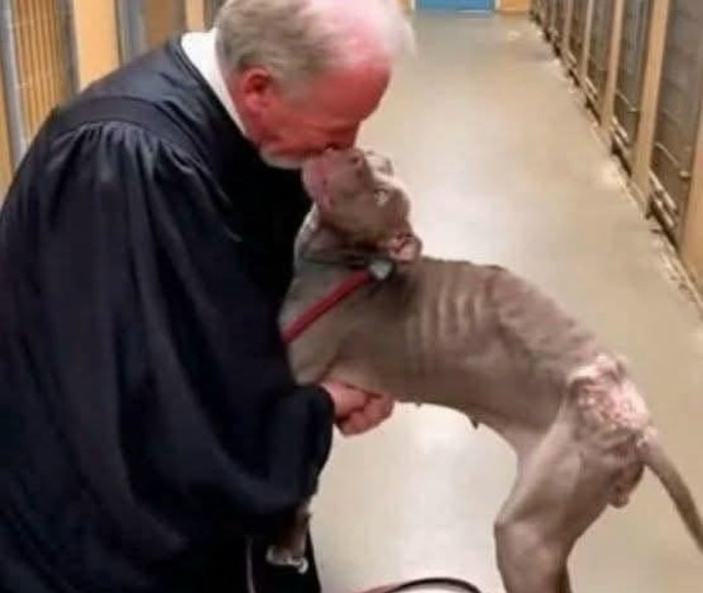 История на добрую ночь..🌠