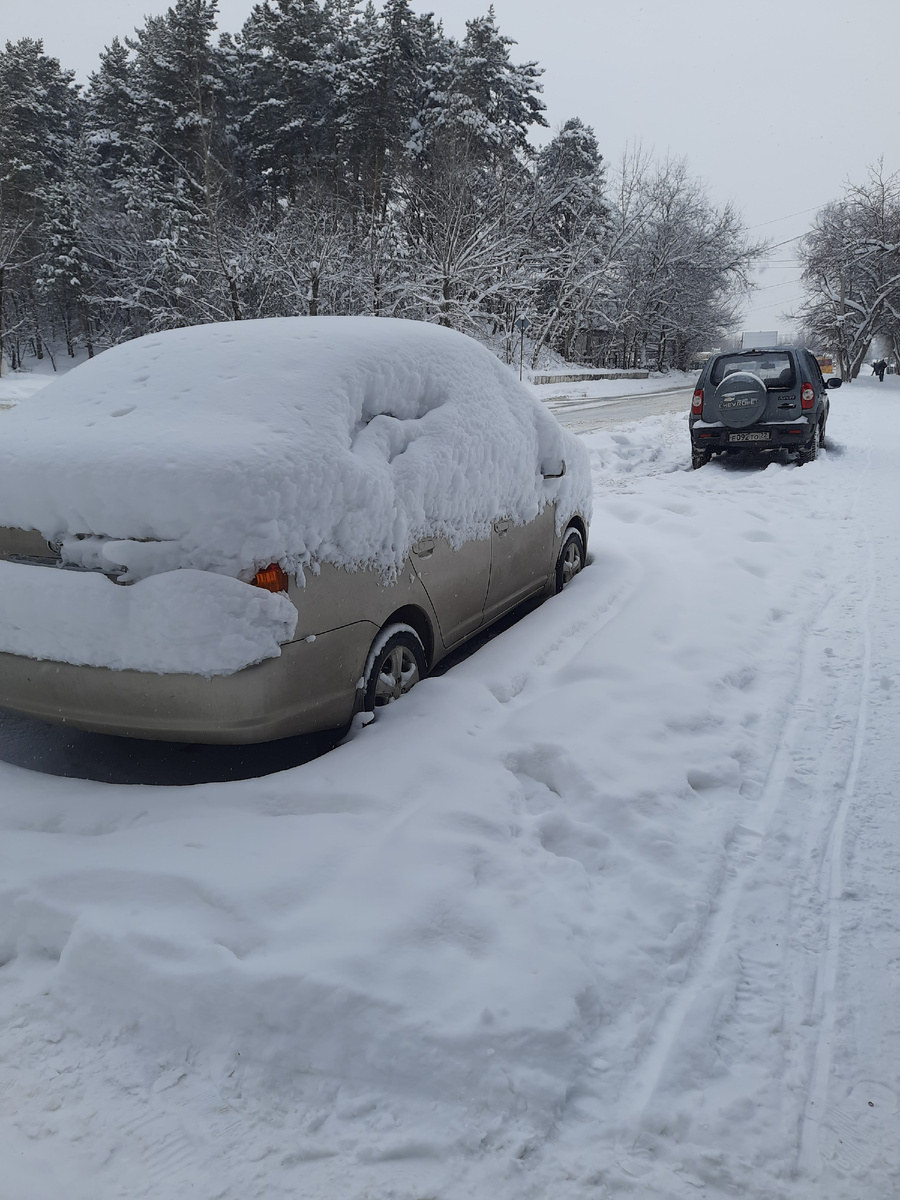 Подснежник