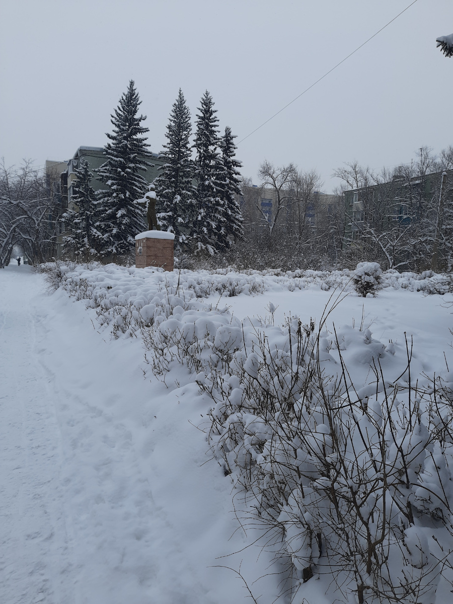 Рыбак в снегу!