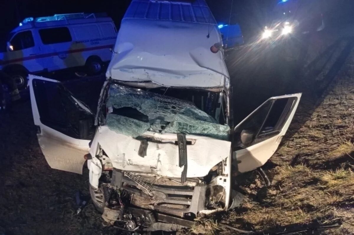    В Марий Эл в ДТП с грузовиком пострадали девять человек