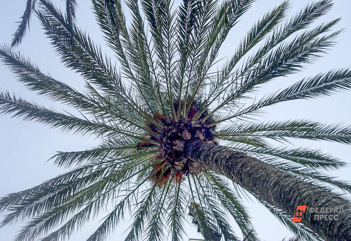 Из Владивостока запустили рейсы в Макао.  Фото: Фото: ФедералПресс / Ксения Медведева