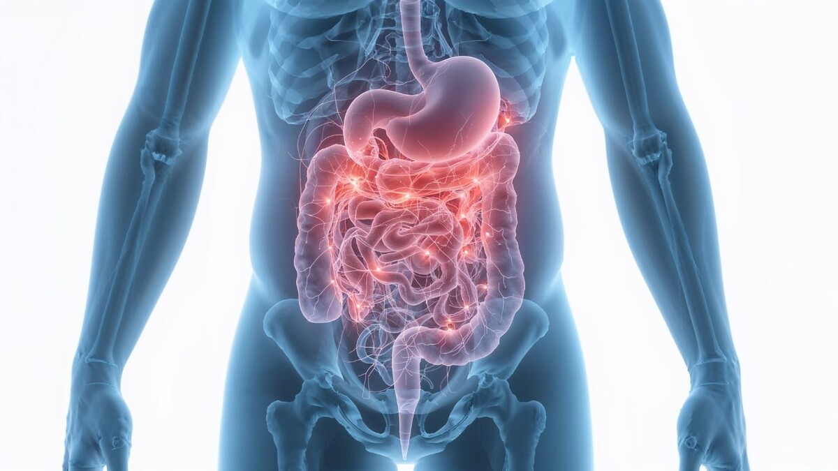 «Я всё перепробовала, а живот болит»: стресс, гормоны и мифы о синдроме раздражённого кишечника 