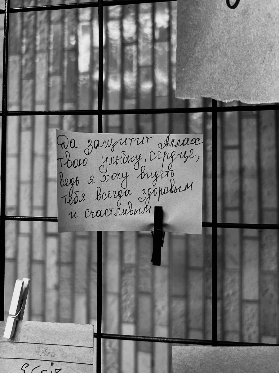 Источник 📸: Гилас Абдуллаева