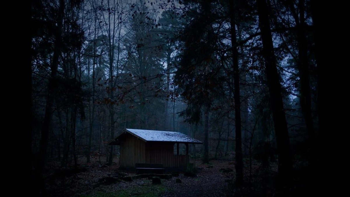 Изображение взято из открытых источников интернета. 