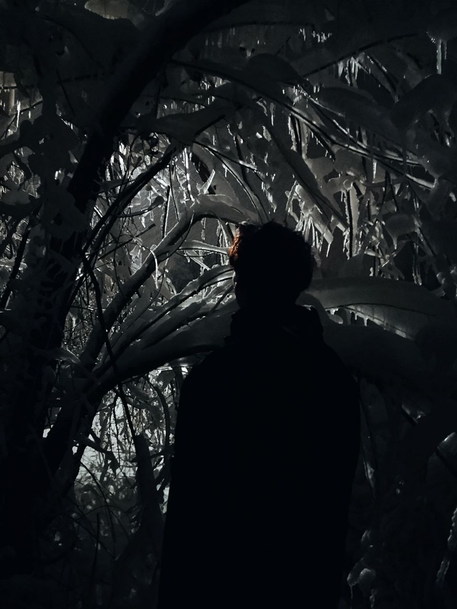 Красота природы зимой...