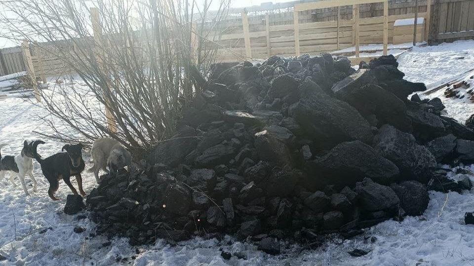 Мы теперь с углем. Будет чем топить нашу печурку!!!👍👌