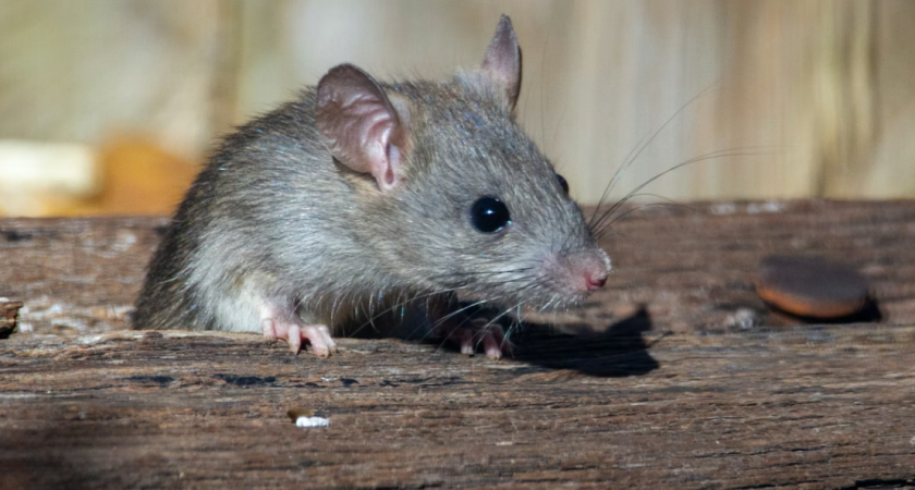    Фото с сайта unsplash.com