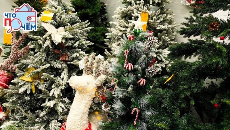      Фото: Гретта Лукс / Sakh.online