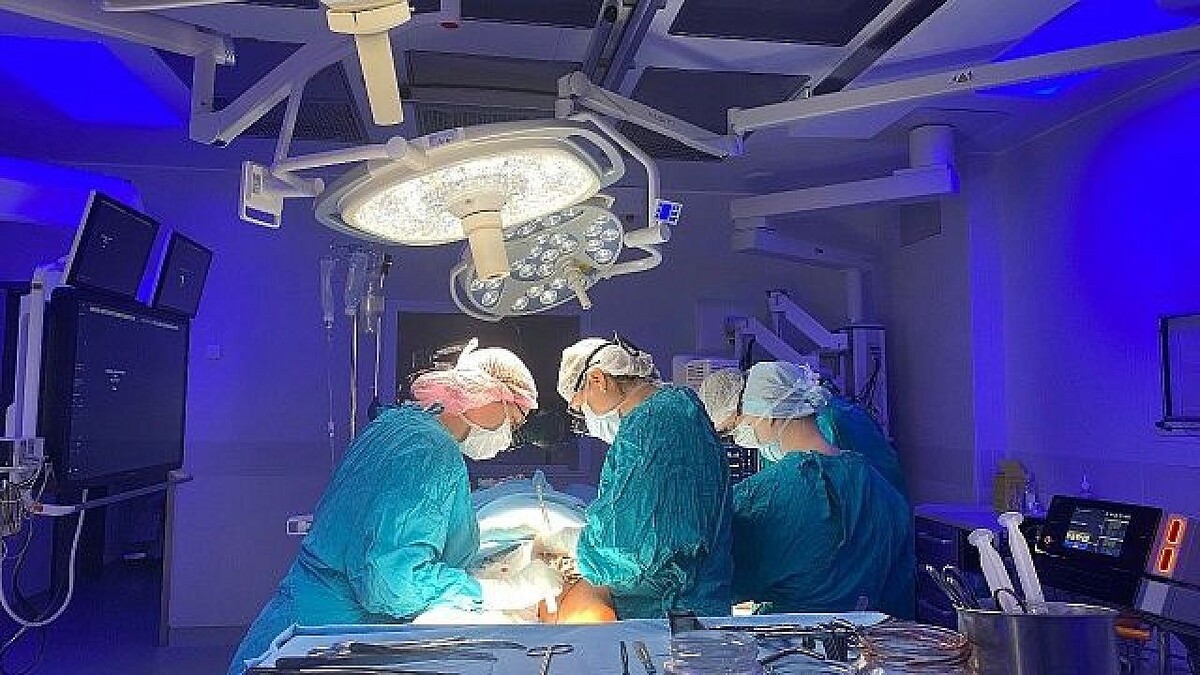    Фото: телеканал «Краснодар»