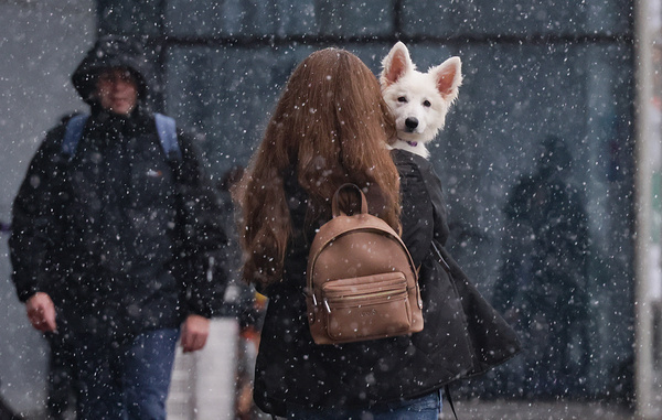 Вероника Зорина/ТАСС