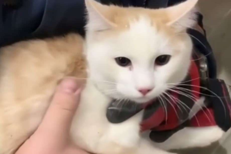    Фото: спасатели МАСС