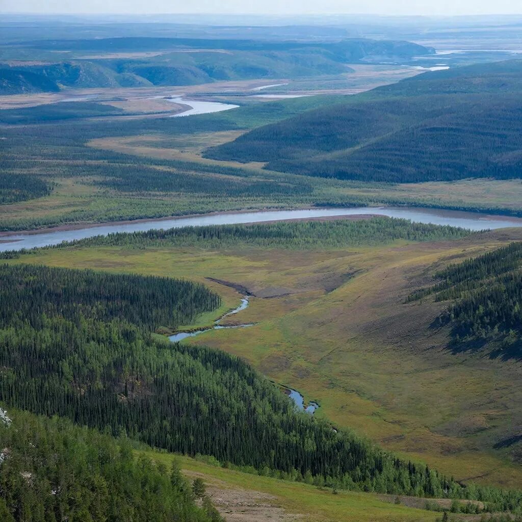 Изображение сгенерировала нейросеть GigaChat.