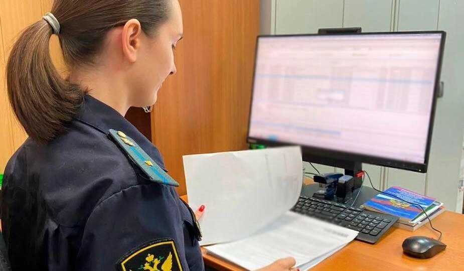 Специалисты рассказали, как узнать о запрете на выезд из России